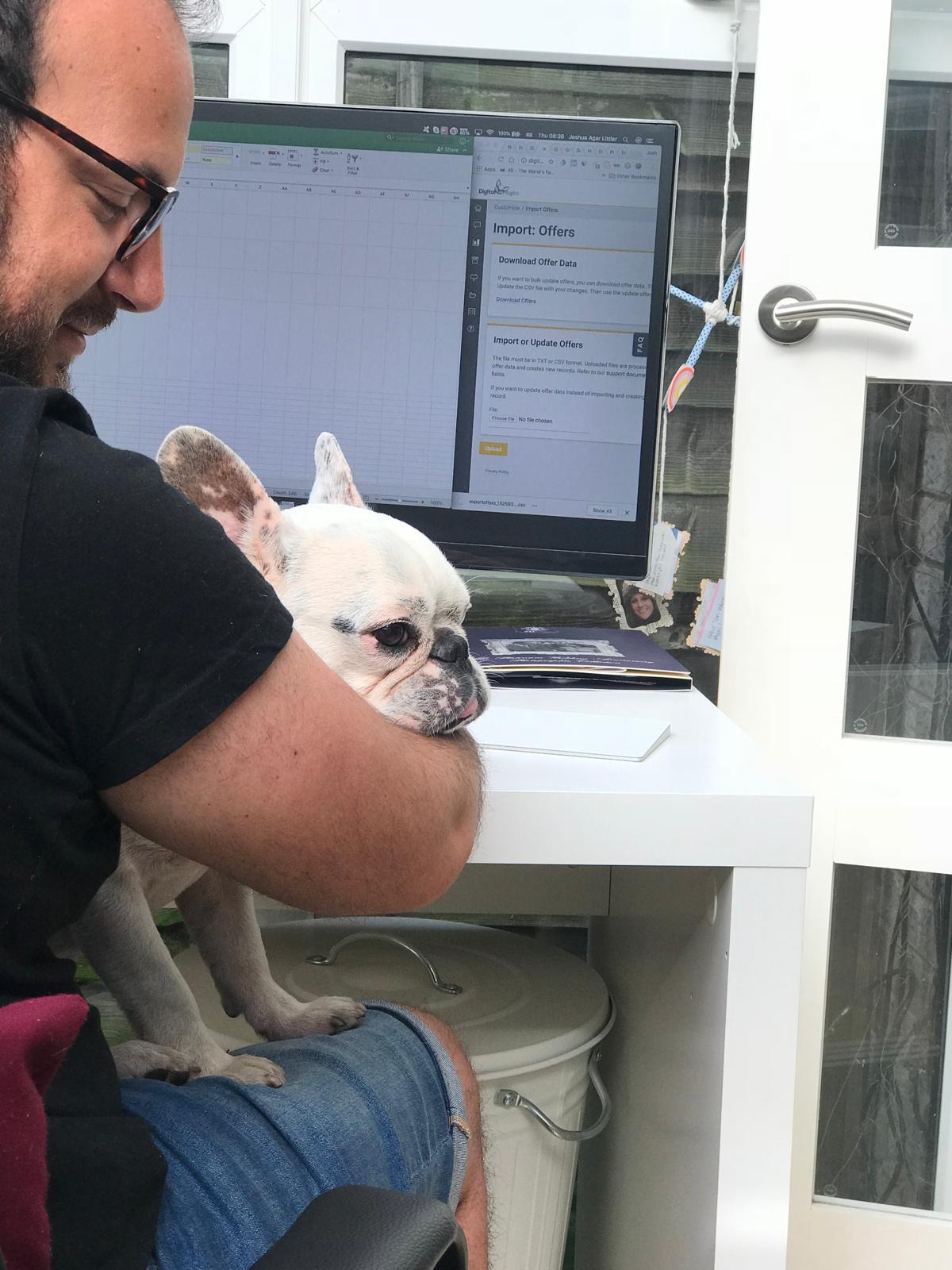 A dog sitting with Josh at the office